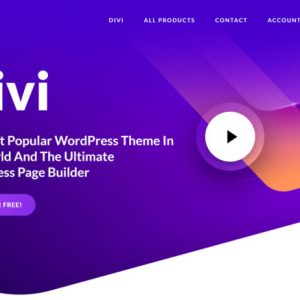 wordpress divi 主题