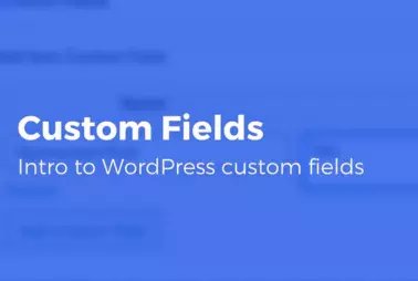 Wordpress为什么强大？说说Custom fileds 自定义字段