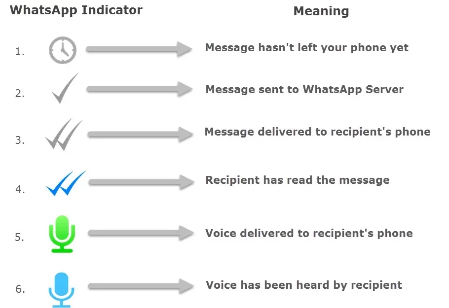 WhatsApp无法查看送达回执