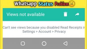 WhatsApp无法查看动态点赞