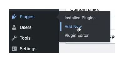要在网站上安装 WordPress 插件 3
